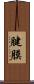 腱膜 Scroll
