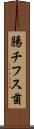 腸チフス菌 Scroll