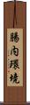 腸内環境 Scroll