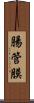 腸管膜 Scroll