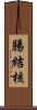 腸結核 Scroll