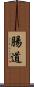 腸道 Scroll