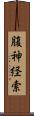 腹神経索 Scroll