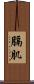 膈肌 Scroll