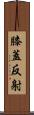 膝蓋反射 Scroll