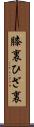 膝裏 Scroll