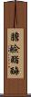 膽鹼酯酶 Scroll