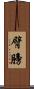 臂膀 Scroll