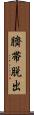 臍帯脱出 Scroll