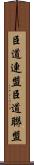 臣道連盟 Scroll