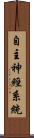 自主神經系統 Scroll