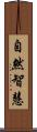 自然智慧 Scroll
