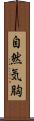 自然気胸 Scroll