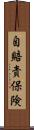 自賠責保険 Scroll