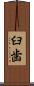 臼歯 Scroll
