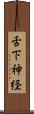 舌下神経 Scroll
