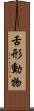 舌形動物 Scroll