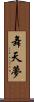 舞天夢 Scroll