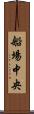船場中央 Scroll
