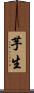 芋生 Scroll