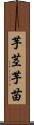 芋茎 Scroll