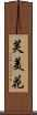 芙美花 Scroll