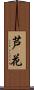 芦花 Scroll