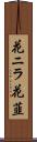花ニラ Scroll