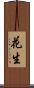 花生 Scroll