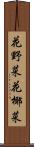 花野菜 Scroll