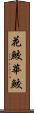 花鮫 Scroll