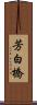 芳白橋 Scroll