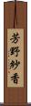 芳野紗香 Scroll