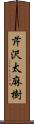 芹沢太麻樹 Scroll