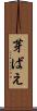 芽ばえ Scroll