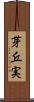 芽丘実 Scroll
