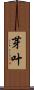 芽叶 Scroll