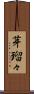 芽瑠々 Scroll