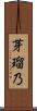 芽瑠乃 Scroll