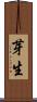 芽生 Scroll