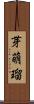 芽萌瑠 Scroll