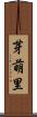 芽萌里 Scroll
