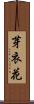 芽衣花 Scroll
