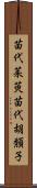 苗代茱萸 Scroll