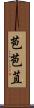 苞 Scroll