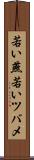 若い燕 Scroll