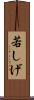 若しげ Scroll