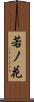 若ノ花 Scroll