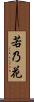若乃花 Scroll