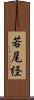 若尾経 Scroll